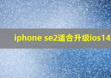 iphone se2适合升级ios14吗